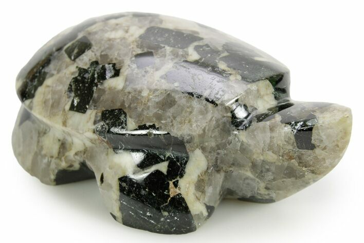 Carved Riebeckite Granite Turtle - Alaska #373637